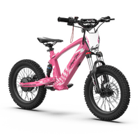 EVO Racing 16" Electric Bike - Shadow Black Product thumb image 11