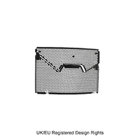 Evotech BMW F 900 R Radiator Guard (2020 - 2024) Applies to BMW. (For the years & models refer to description) Product thumb image 11