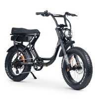 ACE-S Plus+ Electric Bike - Titanium Product thumb image 2