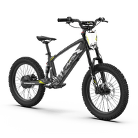 EVO Racing 20" Electric Bike - Blue Thunder Product thumb image 2