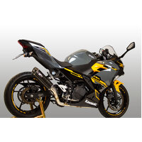 M4 Full System Carbon Canister Ninja 400 Product thumb image 2