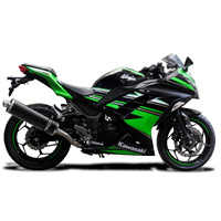 Kawasaki Ninja 300 2013-2023 450MM Oval Carbon Exhaust System Product thumb image 2