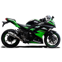 Kawasaki Ninja 300 2013-2023 225MM Oval Stainless Exhaust System Product thumb image 2