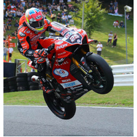 Evotech Ducati Panigale V4 Race Radiator Guard Set (2018 - 2020) Applies to Ducati. (For the years & models refer to description) Product thumb image 2