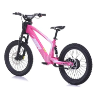 RFN EVO Racing 20" Electric Bike PINK Product thumb image 2