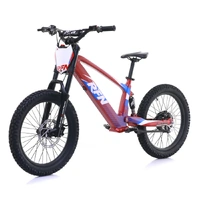 RFN EVO Racing 20" Electric Bike RED Product thumb image 2