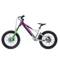 TAKANI Electric Balance Bike 20'' - TK2060 Plum Silver Product thumb image 2