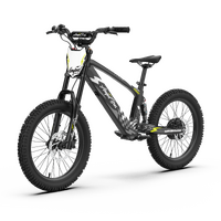 EVO Racing 20" Electric Bike - Blue Thunder Product thumb image 3