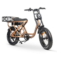 ACE-S MAX Electric Bike - Matte Titanium Product thumb image 3