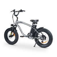 Stubbie PRO Electric Bike - Matte Titanium Product thumb image 3