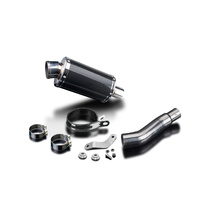 Kawasaki Ninja 300 2013-2023 225MM Oval Carbon Exhaust System Product thumb image 3