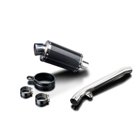 Kawasaki ZX-9R ZX9R Ninja 2002-2003 225MM Oval Carbon Exhaust System Product thumb image 3
