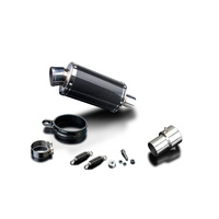 BMW HP4 2013-2015 225MM Oval Carbon Exhaust System Product thumb image 3