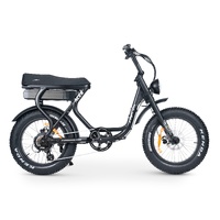 ACE-S Plus+ Electric Bike - Titanium Product thumb image 4