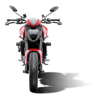 Evotech Ducati Monster 950 Radiator Guard Applies to Ducati. (For the years & models refer to description) Product thumb image 4