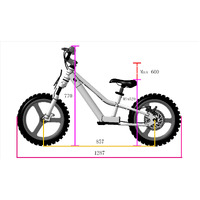 350W Takani Electric Balance Bike 16'' - TK1648-RS - Crisp White Product thumb image 4