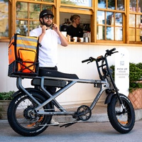 ACE-S MAX Electric Bike - Matte Bronze Product thumb image 5