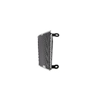 Evotech Radiator Guard - Aprilia Dorsoduro 750 (2008 - 2016) Applies to Aprilia. (For the years & models refer to description) Product thumb image 5