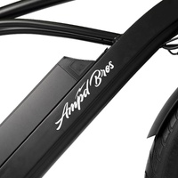 Riptide 3 Electric Bike - Titanium Product thumb image 7