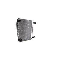 Evotech Radiator Guard - Aprilia Dorsoduro 750 (2008 - 2016) Applies to Aprilia. (For the years & models refer to description) Product thumb image 7