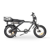 ACE-X MAX Electric Bike - Matte Titanium Product thumb image 8
