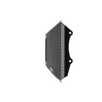 Evotech Kawasaki Z900RS Radiator Guard (2018 - 2020) Applies to Kawasaki. (For the years & models refer to description) Product thumb image 9