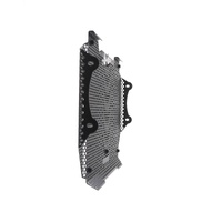 Evotech Kawasaki Z900RS Performance Radiator Guard (2021 - 2022) Applies to Kawasaki. (For the years & models refer to description) Product thumb image 9