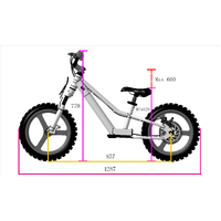 350W Takani Electric Balance Bike 16'' - TK1648-RS - Ash Grey Product thumb image 9