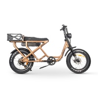 ACE-S MAX Electric Bike - Matte Titanium Product thumb image 10