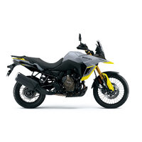 MY23 VSTROM 800 DE -