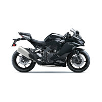 MY24 NINJA ZX-4R 