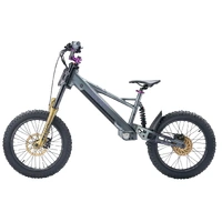 TAKANI Electric Balance Bike 20'' - TK2060-RS Matte charcoal PURPLE