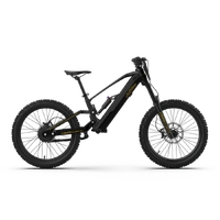 EVO Racing 24" PRO Electric Bike