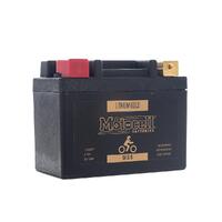 Motocell Lithium Gold MLG8 30.72WH LiFePO4 Battery