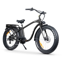Chubbie 2 Electric Bike - Matte Black