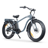 Chubbie 2 Electric Bike - Slate