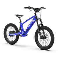 EVO Racing 20" Electric Bike - Blue Thunder