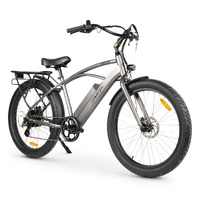 Riptide 3 Electric Bike - Titanium