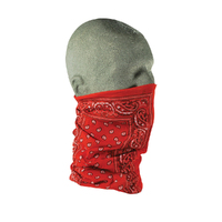 Zanheadger Motley Tubes Red Paisley