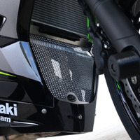 R&G Downpipe Grille Kawasaki Ninja 250/400 Titanium Colour