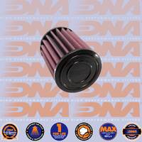DNA Air Filter TRIUMPH SPEED 400 & SCRAMBLER 400 X 24-