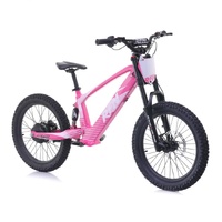 RFN EVO Racing 20" Electric Bike PINK