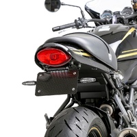 Z900RS 2018-2024 V2 Fender Eliminator Kit